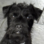 buster
