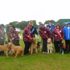 Best in Show