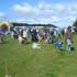 Dog Show