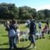 Dog Show
