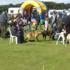 Dog Show