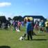 Dog Show