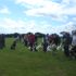 Dog Show