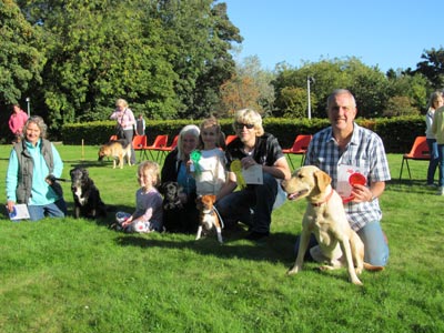 Dog Show