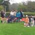 Dog Show