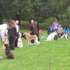 Dog Show