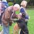 Dog Show