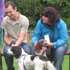Dog Show