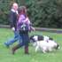 Dog Show