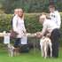 Dog Show