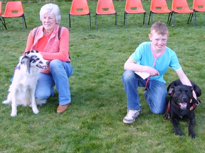 Dog Show