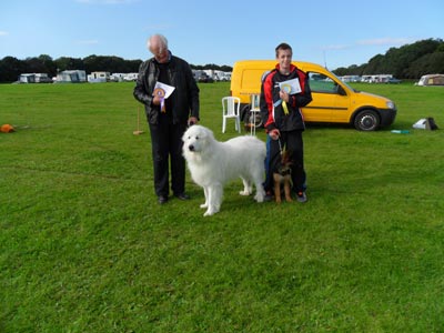 Dog Show