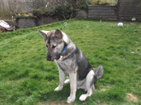 Max