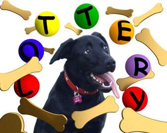 Lottery