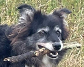 Bella